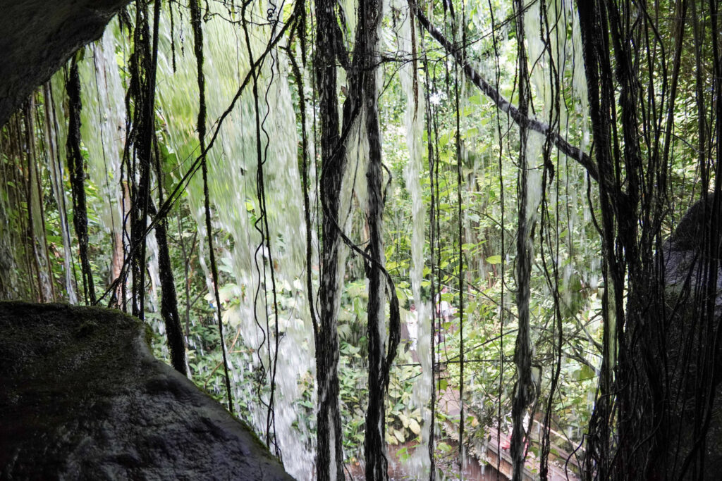 Burgers' Zoo Burgers' Zoo