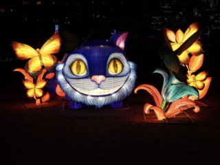 Garden of Lights Garden of Lights