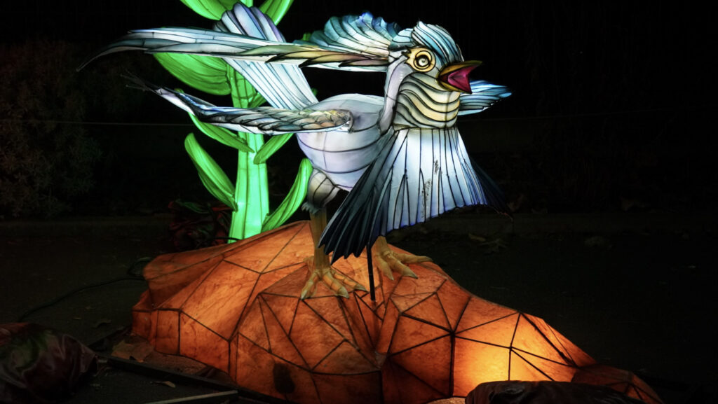 China Lights im K&ouml;lner Zoo