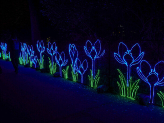 China Lights im K&ouml;lner Zoo