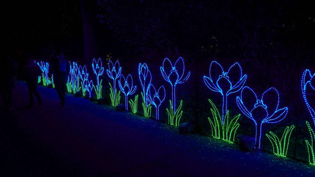 China Lights im K&ouml;lner Zoo