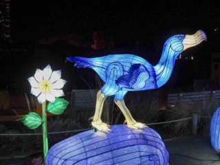 China Lights im K&ouml;lner Zoo