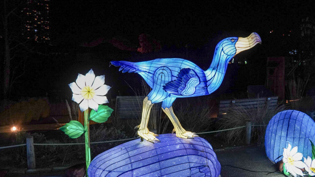 China Lights im K&ouml;lner Zoo