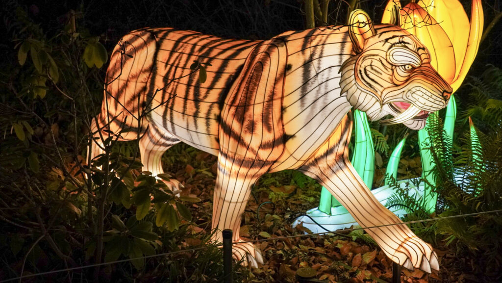 China Lights im K&ouml;lner Zoo