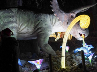 China Lights im K&ouml;lner Zoo
