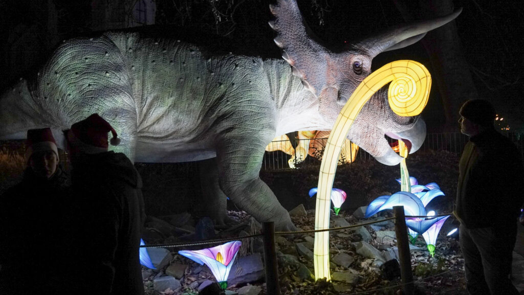 China Lights im K&ouml;lner Zoo