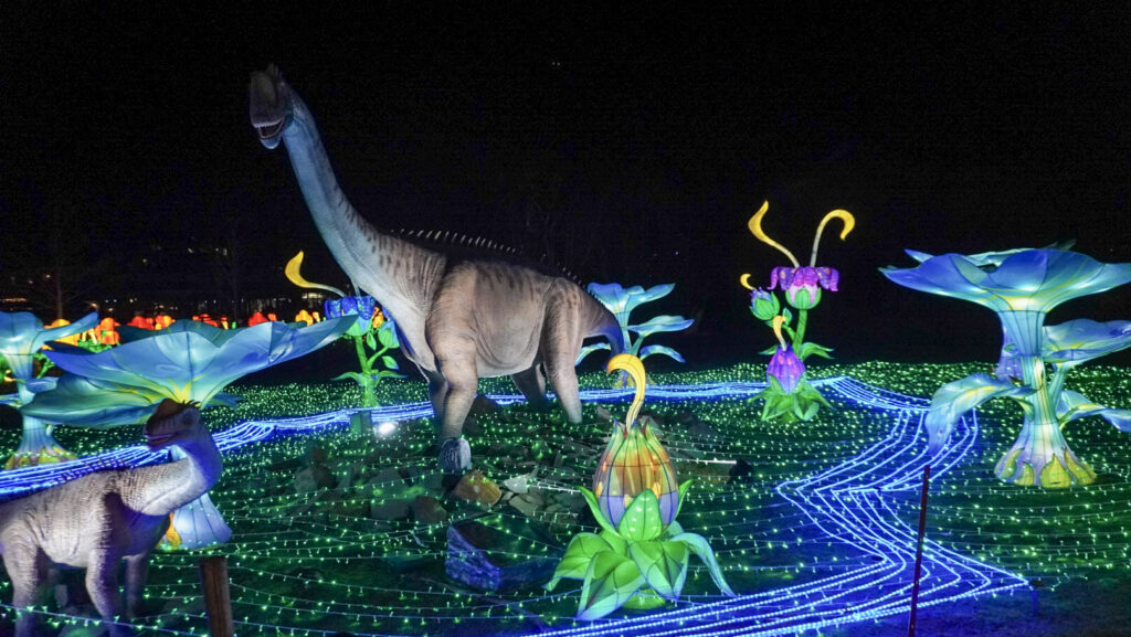 China Lights im K&ouml;lner Zoo