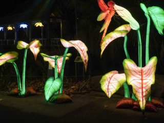 China Lights im K&ouml;lner Zoo