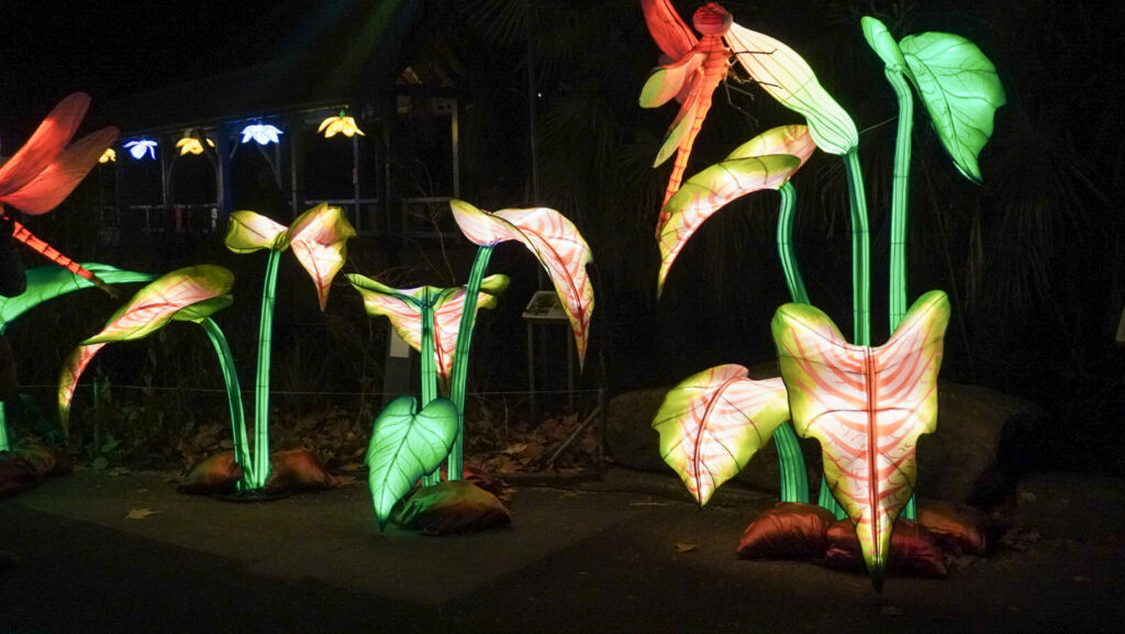 China Lights im K&ouml;lner Zoo