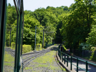 Bootsfahrt und Besuch des Drachenfelsens
