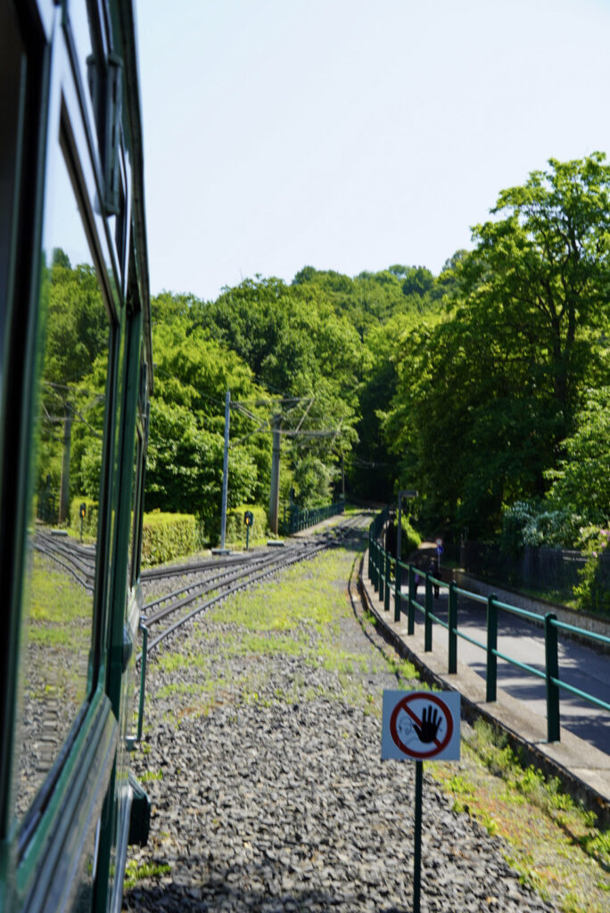 Bootsfahrt und Besuch des Drachenfelsens