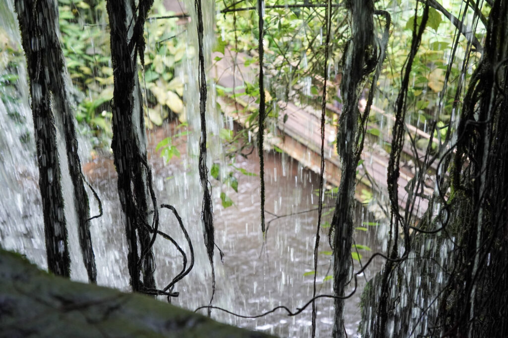 Burgers' Zoo Burgers' Zoo