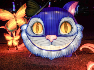 Garden of Lights Garden of Lights