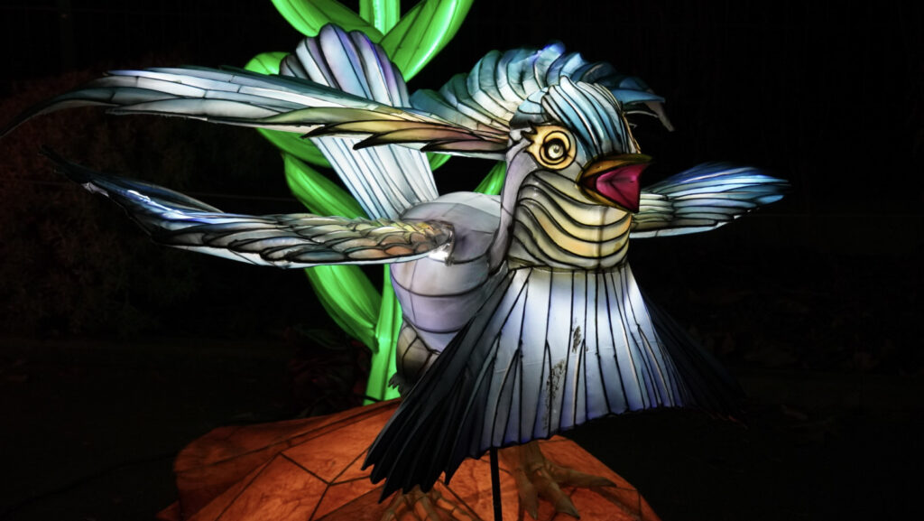 China Lights im K&ouml;lner Zoo