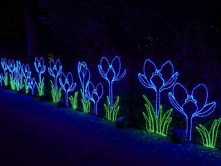 China Lights im K&ouml;lner Zoo
