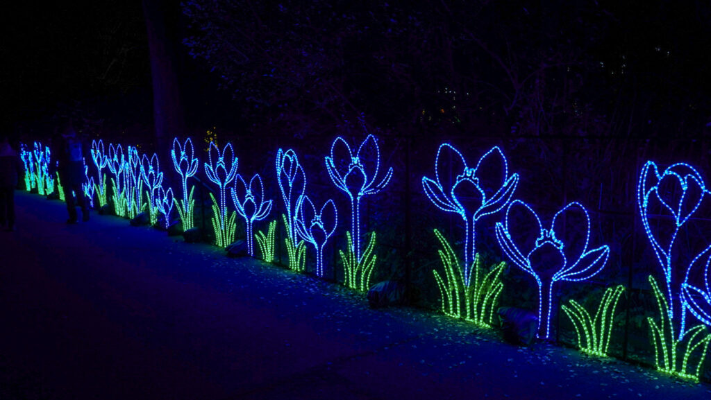 China Lights im K&ouml;lner Zoo