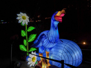 China Lights im K&ouml;lner Zoo