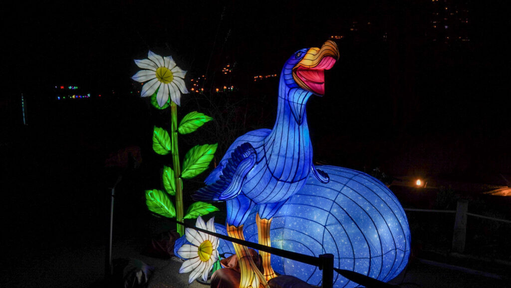 China Lights im K&ouml;lner Zoo