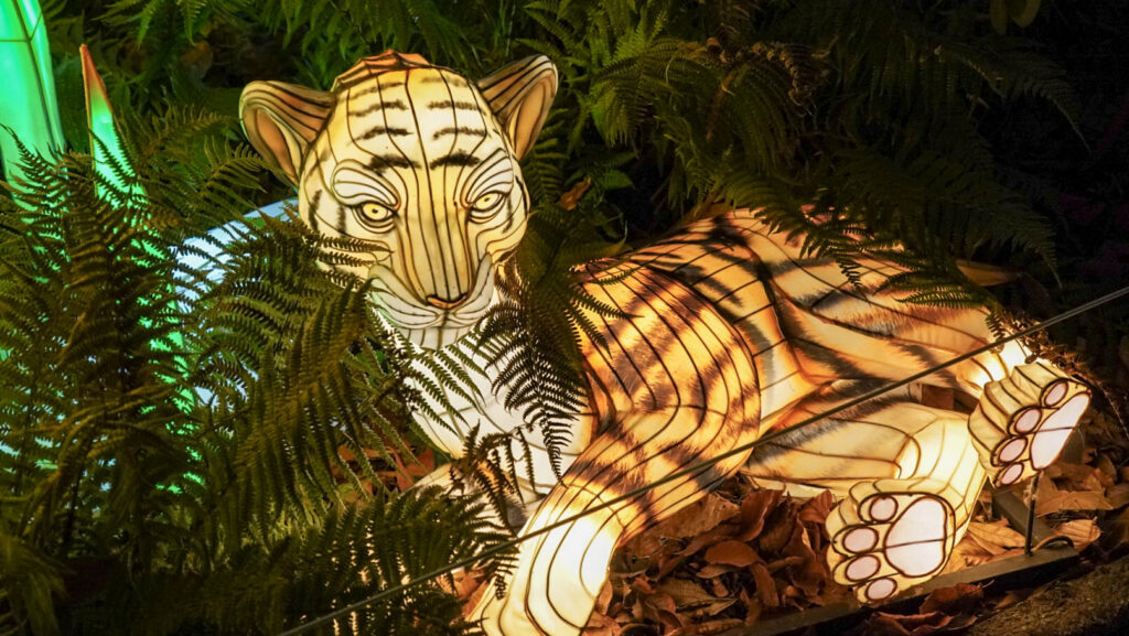 China Lights im K&ouml;lner Zoo