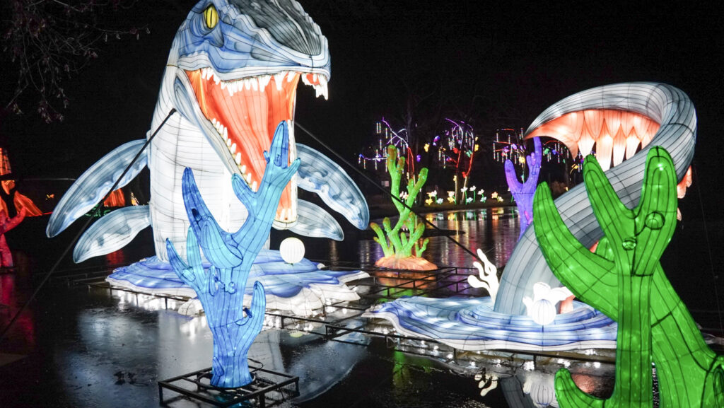 China Lights im K&ouml;lner Zoo