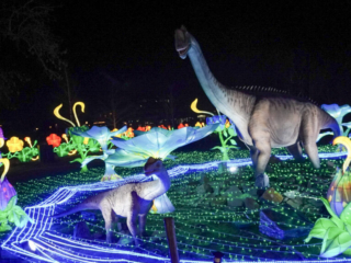 China Lights im K&ouml;lner Zoo