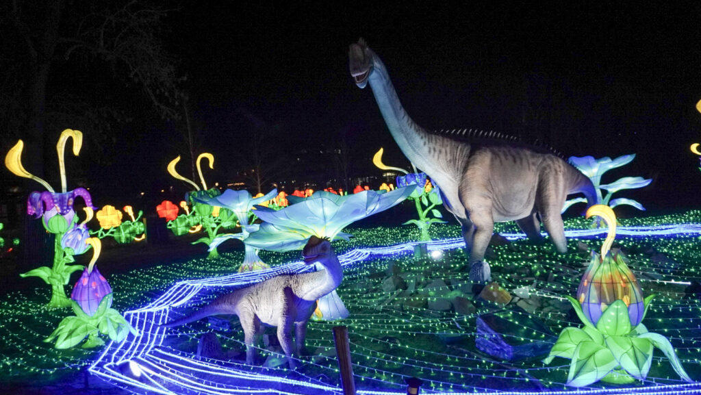 China Lights im K&ouml;lner Zoo
