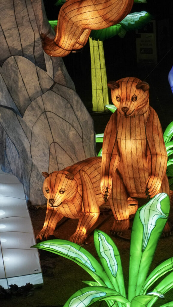 China Lights im K&ouml;lner Zoo