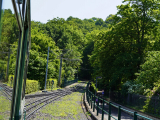 Bootsfahrt und Besuch des Drachenfelsens