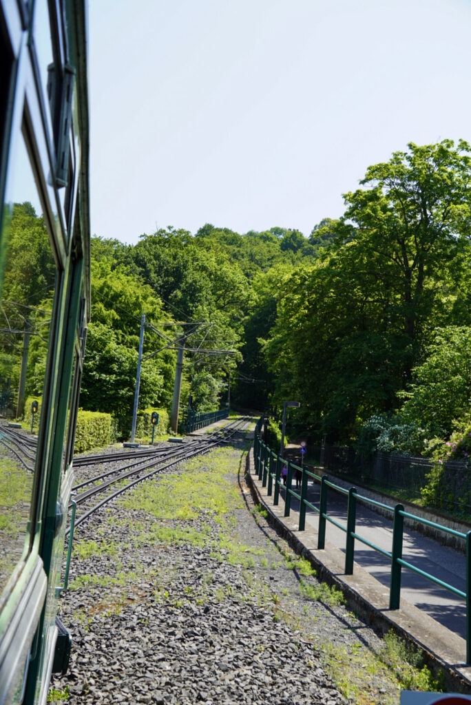 Bootsfahrt und Besuch des Drachenfelsens
