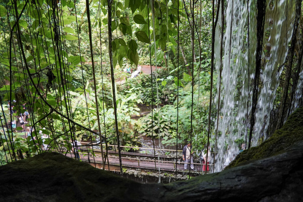 Burgers' Zoo Burgers' Zoo