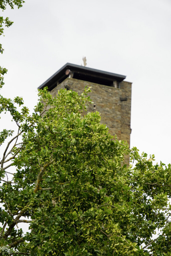 NS Ordensburg Vogelsang