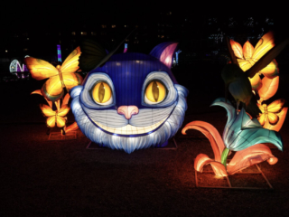 Garden of Lights Garden of Lights
