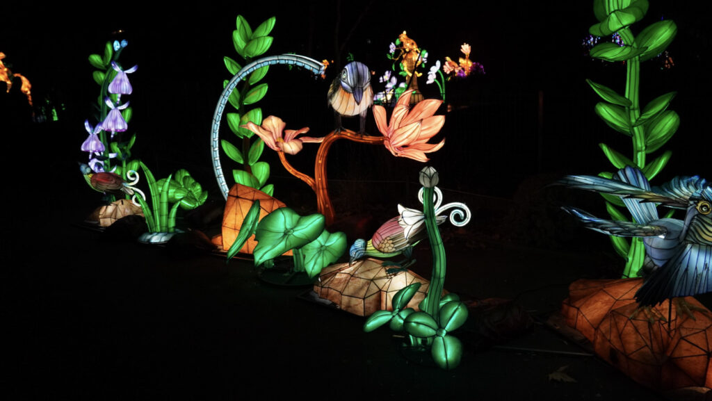 China Lights im K&ouml;lner Zoo