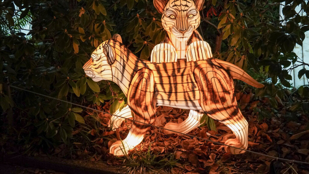 China Lights im K&ouml;lner Zoo