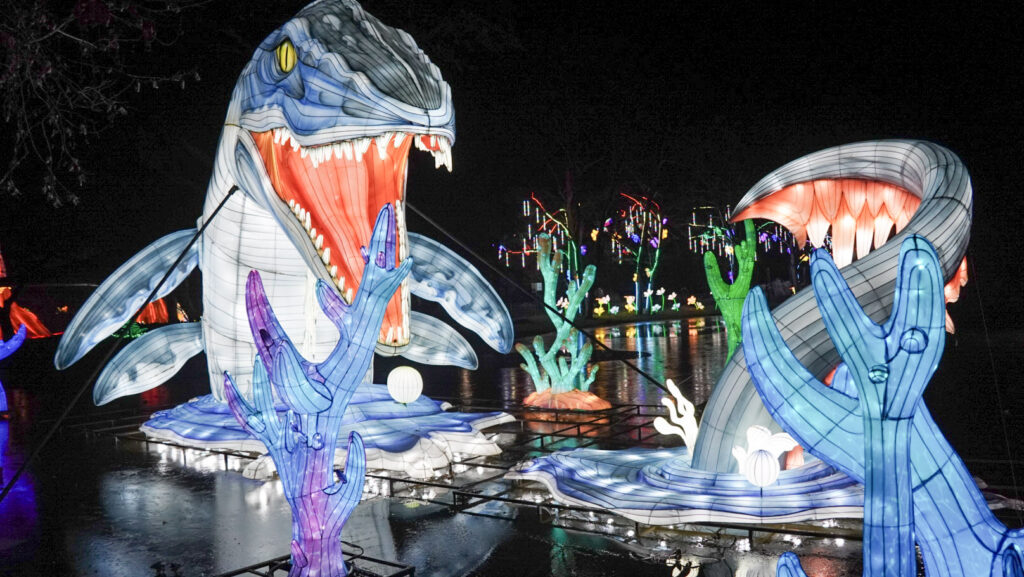 China Lights im K&ouml;lner Zoo