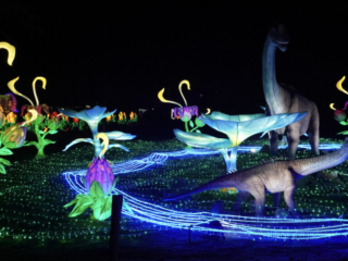 China Lights im K&ouml;lner Zoo