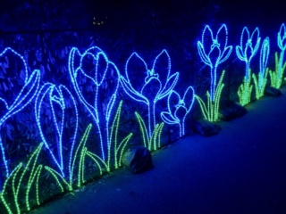 China Lights im K&ouml;lner Zoo