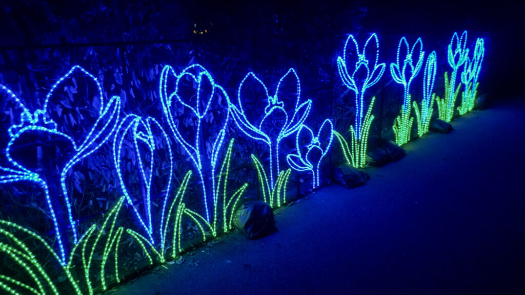 China Lights im K&ouml;lner Zoo