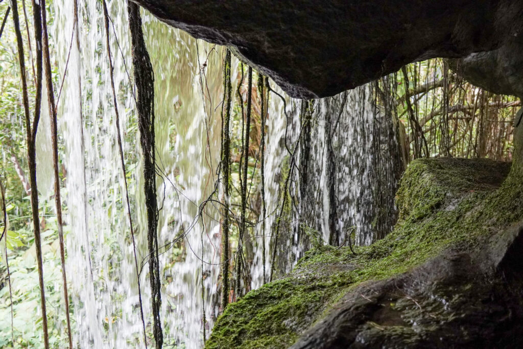 Burgers' Zoo Burgers' Zoo