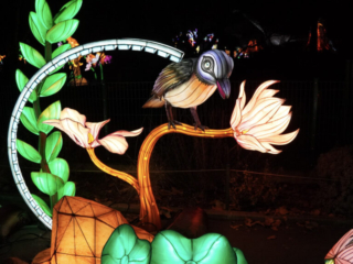 China Lights im K&ouml;lner Zoo