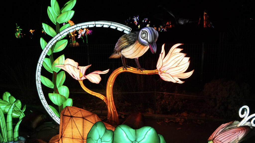 China Lights im K&ouml;lner Zoo