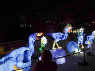 China Lights im K&ouml;lner Zoo