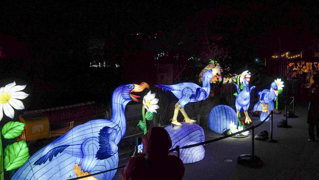 China Lights im K&ouml;lner Zoo