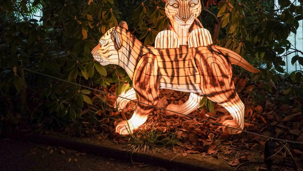 China Lights im K&ouml;lner Zoo