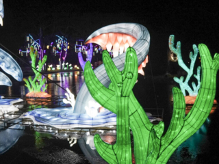 China Lights im K&ouml;lner Zoo