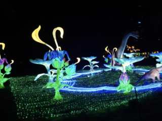 China Lights im K&ouml;lner Zoo