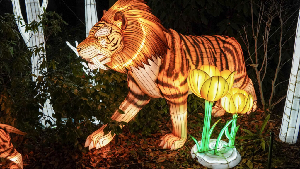 China Lights im K&ouml;lner Zoo