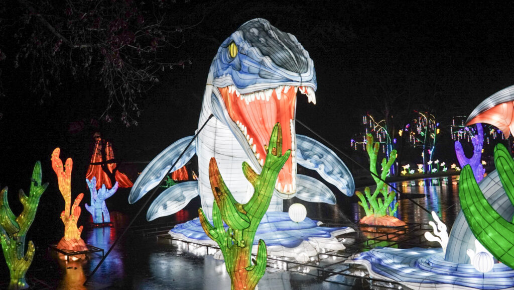 China Lights im K&ouml;lner Zoo