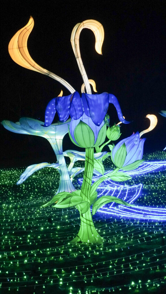 China Lights im K&ouml;lner Zoo