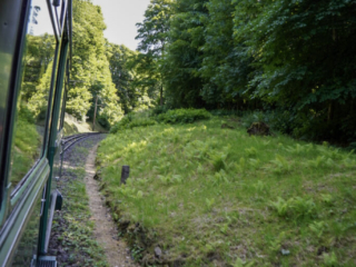 Bootsfahrt und Besuch des Drachenfelsens